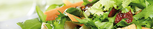 Grado en Nutrición Humana y Dietética