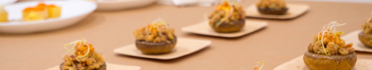 Degree in Gastronomic Sciences